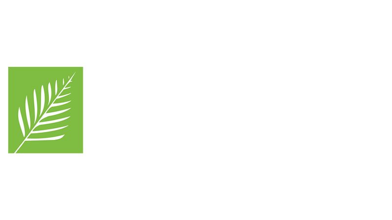 Palma-2-dark-800×450